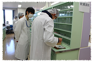 薬剤師体験コース写真1
