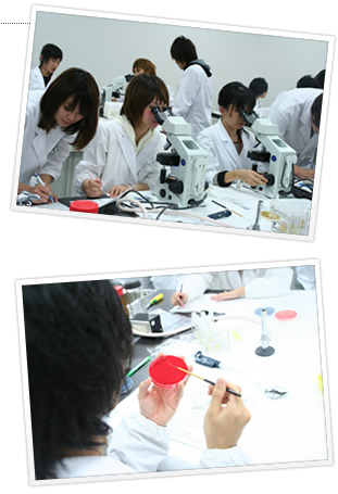微生物学実習
