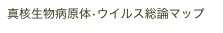 真核生物病原体•ウイルス総論マップ